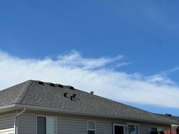 Skylights in Coplay, PA